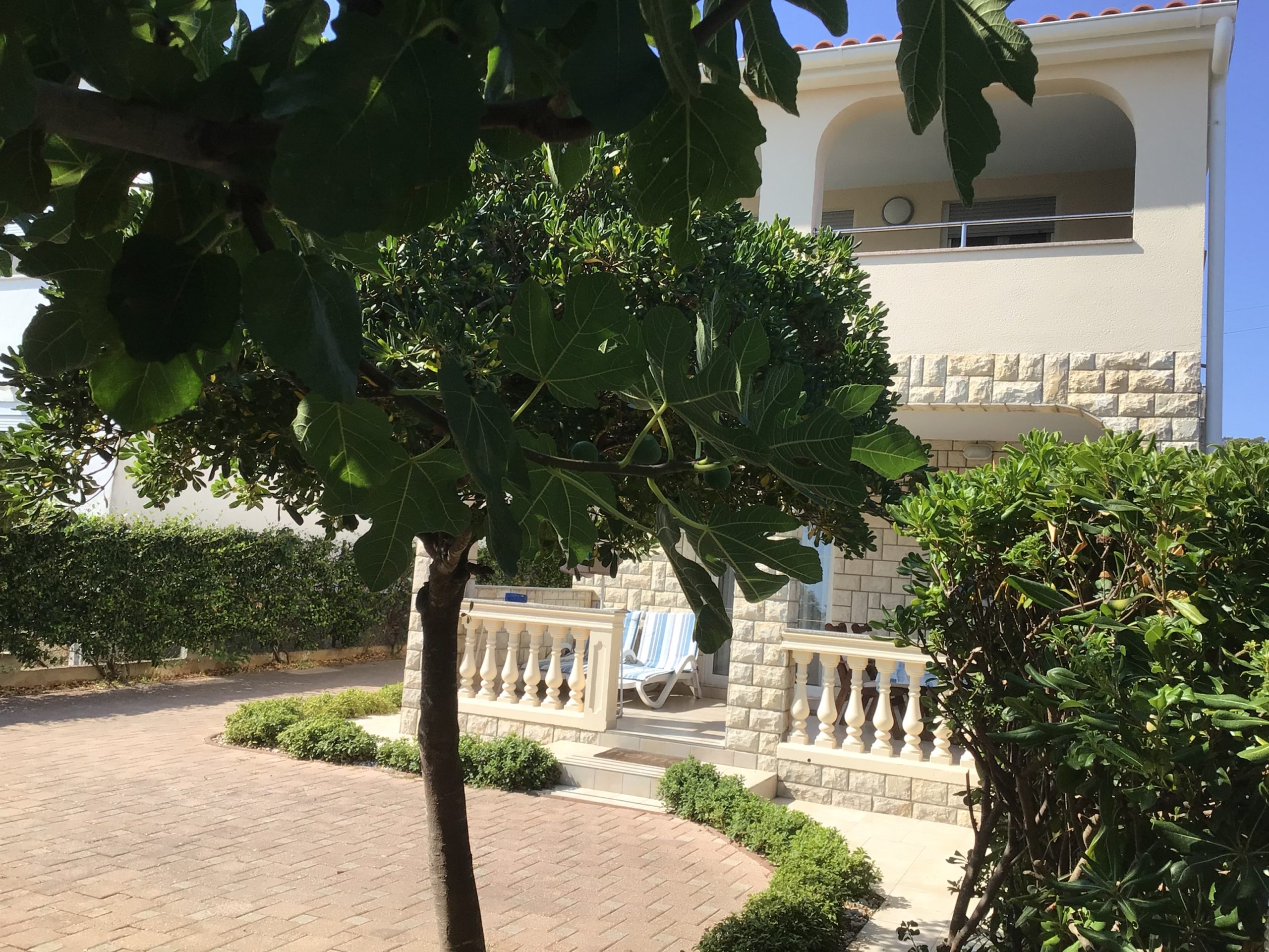image00009